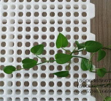 高清圖片下的塑料地板 優勢、選擇與應用